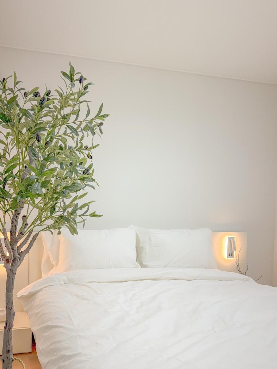 Apartment Nest